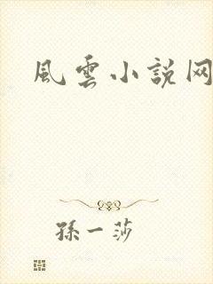 风云小说网