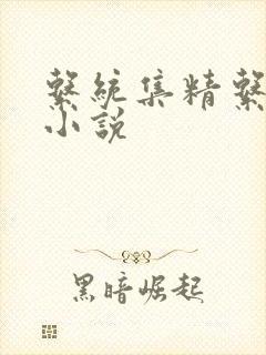 系统集精系统 小说