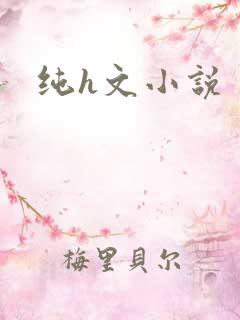 纯h文小说