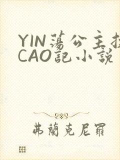 YIN荡公主挨CAO记小说