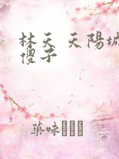 林天 天阳城 傻子