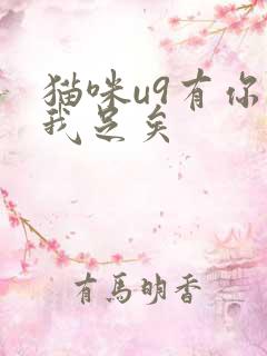 猫咪u9有你有我足矣