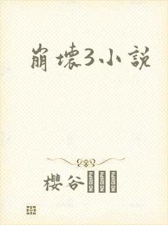 崩坏3小说