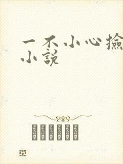 一不小心捡到爱小说