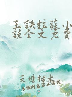 王铁柱苏小汐小说全文免费阅读最新章节