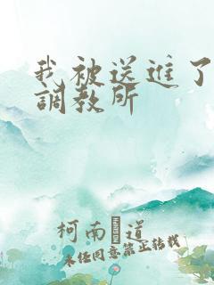 我被送进了私奴调教所