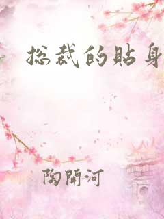 总裁的贴身女佣