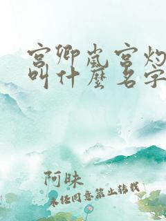 宫卿岚宫灼小说叫什么名字