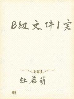 B级文件1完整