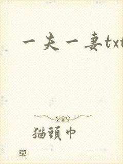 一夫一妻txt