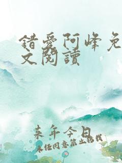 错爱阿峰免费全文阅读