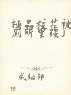 极品校花被拉到厕所里强J