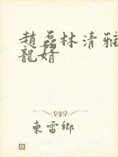 赵磊林清雅上门龙婿
