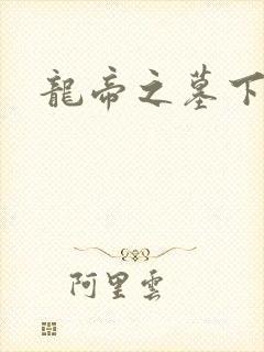 龙帝之墓下载