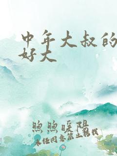 中年大叔的包包好大