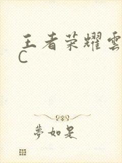 王者荣耀云缨被C