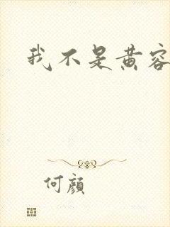 我不是黄容