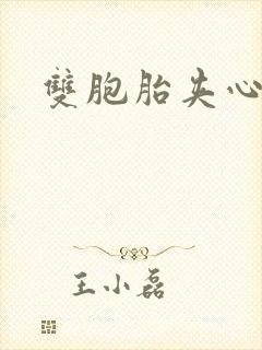 双胞胎夹心运动