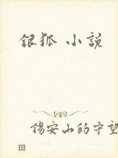 银狐 小说