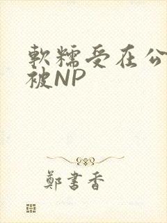 软糯受在公交车被NP