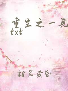 重生之一见倾心txt