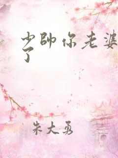 少帅你老婆又跑了