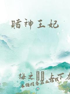 赌神王妃