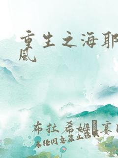 重生之海耶斯旋风