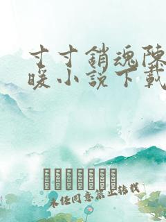 寸寸销魂陈聪王暖小说下载