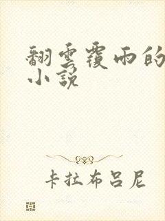 翻云覆雨的秘密小说