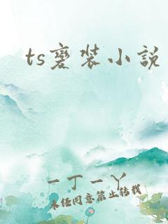 ts变装小说