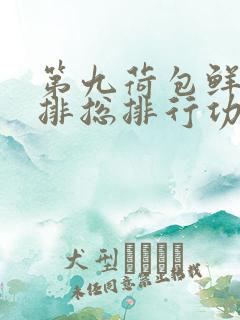 第九荷包鲜辣肉排总排行功能介绍