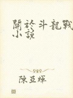 关于斗龙战士的小说