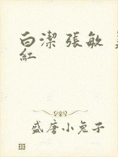 白洁 张敏 美红