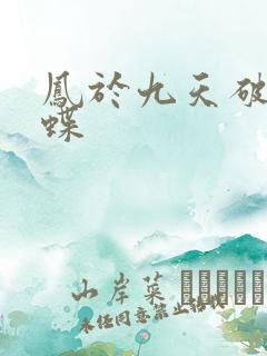 凤于九天破茧成蝶
