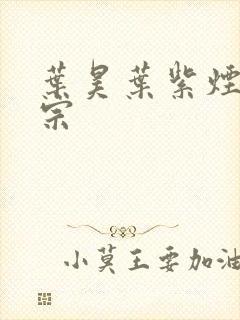 叶昊叶紫烟老祖宗