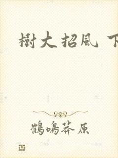 树大招风 下载