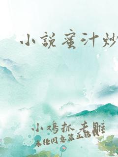 小说蜜汁炒鱿鱼