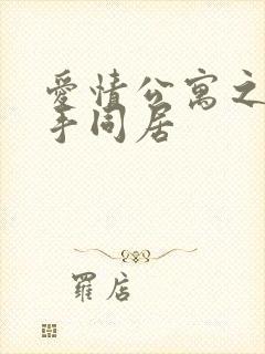 爱情公寓之与杀手同居