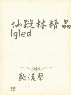 仙踪林精品zzlgled