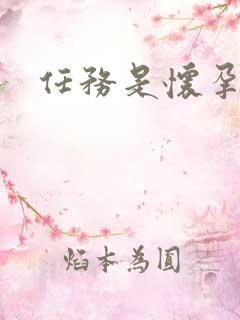 任务是怀孕系统