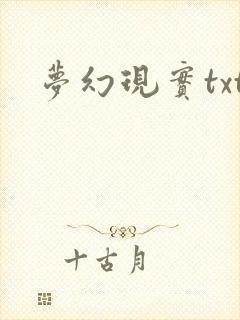 梦幻现实txt