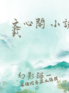 文心阁 小说连载