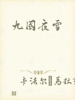 九国夜雪