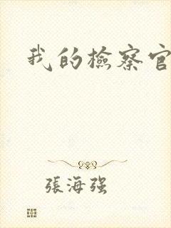 我的检察官先生