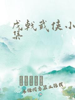 戊戟武侠小说全集