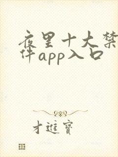 夜里十大禁用软件app入口