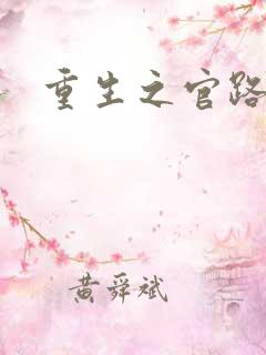 重生之官路风流