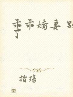 乖乖娇妻 别闹了