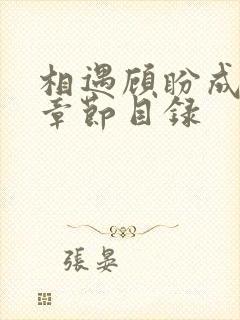 相遇顾盼成欢全章节目录